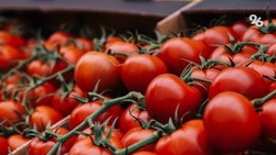 Фестиваль томатов привлечёт внимание к агросектору Ставрополья — политтехнолог